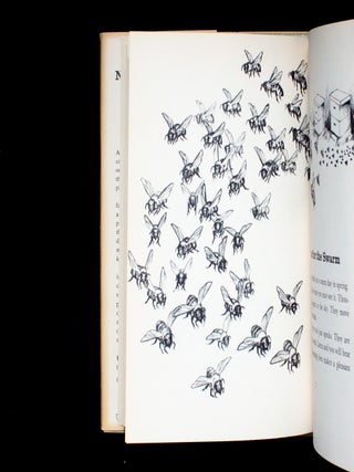 No Holidays for Honeybees