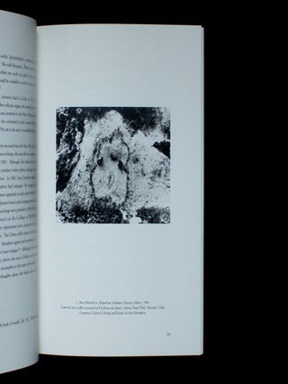 Ana Mendieta