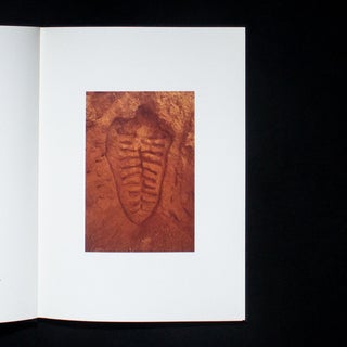 Ana Mendieta