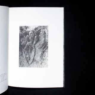 Ana Mendieta