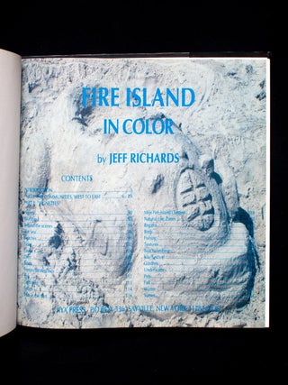 Fire Island In Color