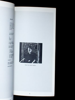 Autobiography of a Sex Thief