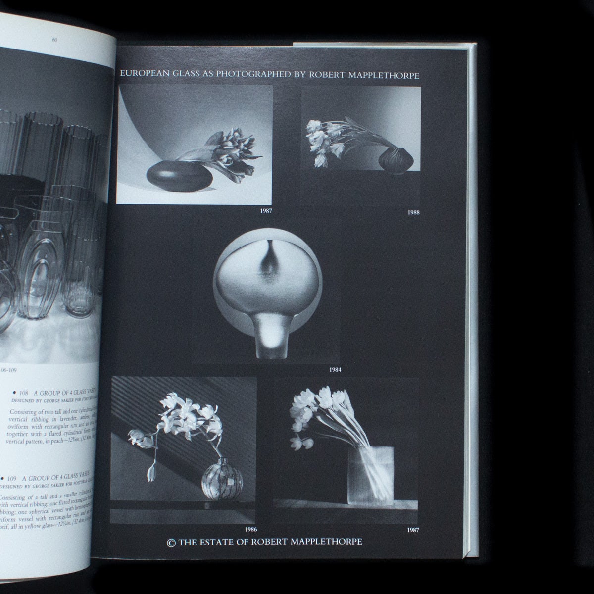 mapplethorpe まとめ売り The Collection of Robert Mapplethorpe | Robert Mapplethorpe