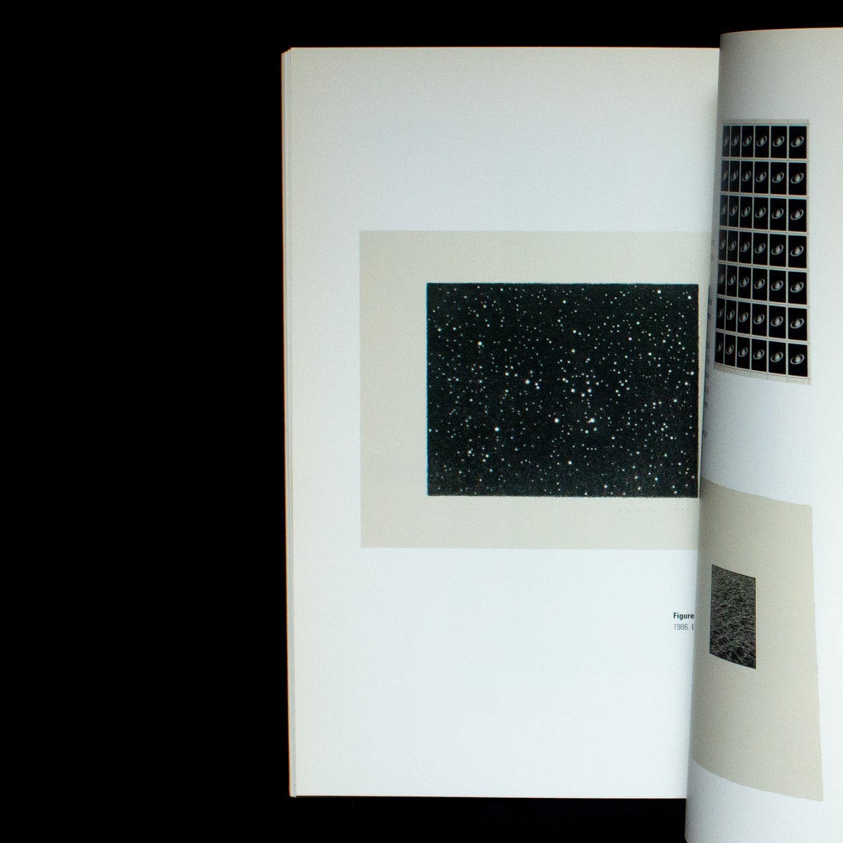 The Prints of Vija Celmins | Vija Celmins, Samantha Rippner, text