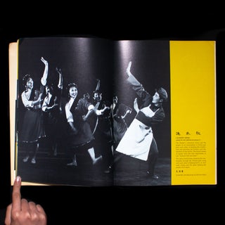 The Performing Arts Company of the People's Republic of China