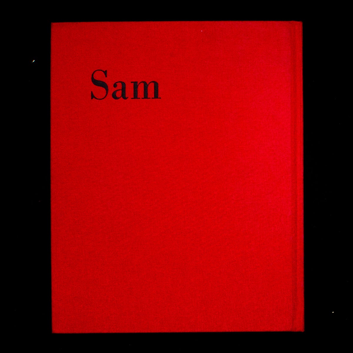 Sam Shepard | Sam Shepard, Bruce Weber | 1st Edition