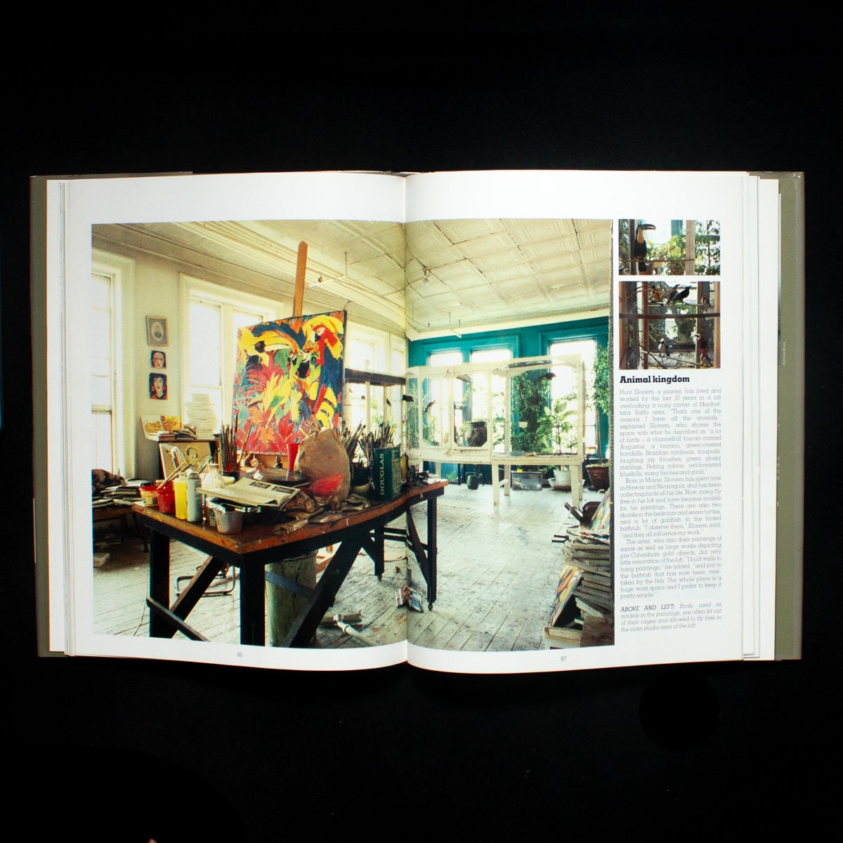 The International Book of Lofts | Suzanne Slesin, Stafford Cliff