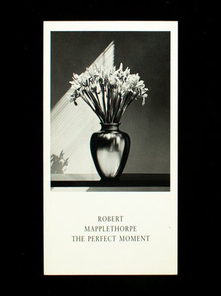 The Perfect Moment