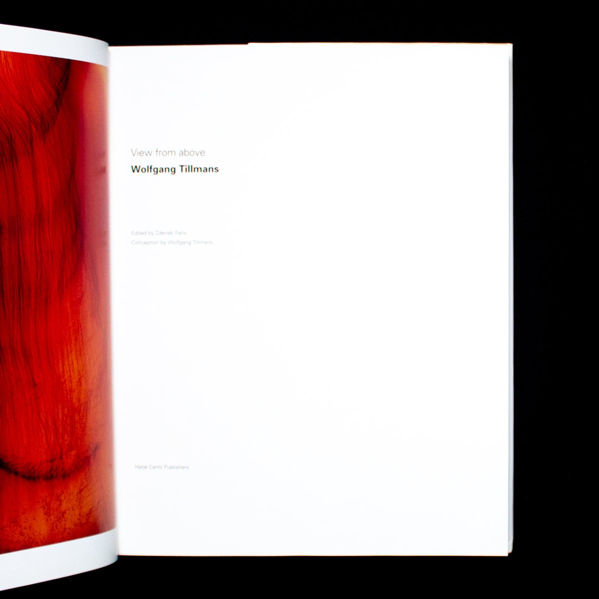 View from Above | Wolfgang Tillmans, Zdenek Felix, Jutta Koether