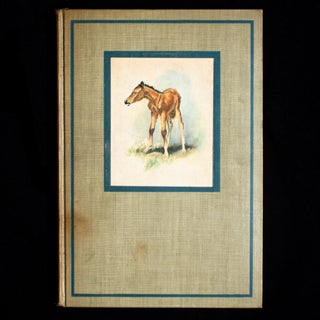 Item #9106 The Red Pony. John Steinbeck, Wesley Dennis, illustrations
